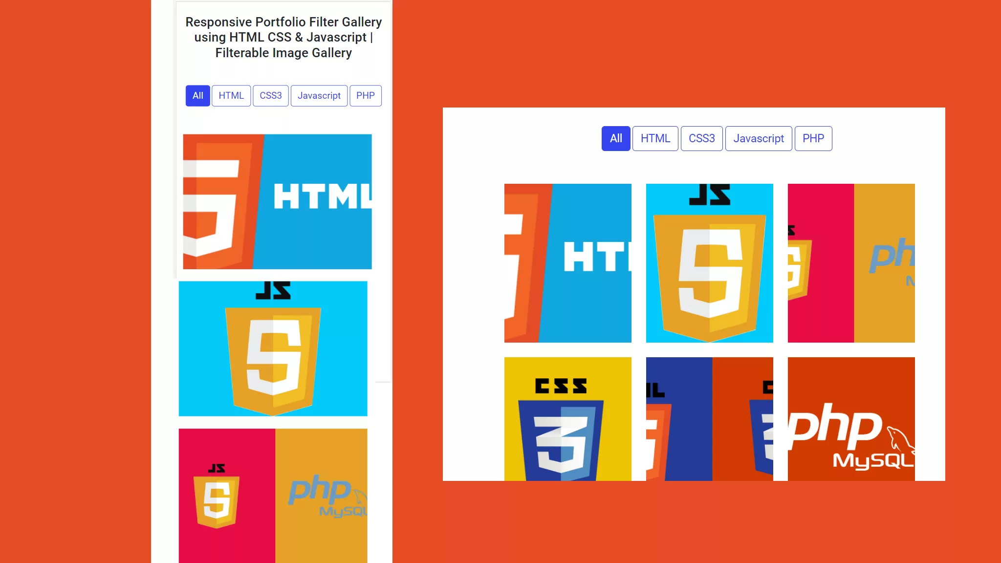 Responsive Portfolio Filter Gallery using HTML CSS & Javascript
