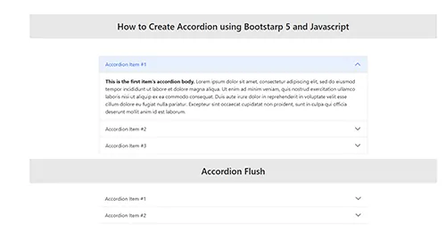 How to Create Accordion using bootstarp 5