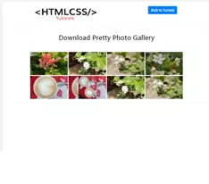 Pretty Photo gallery free download