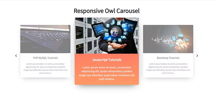 Owl Carousel Slider Bootstrap 5 Example