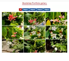 Create Bootstrap Portfolio Gallery With Filtering Category